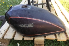 31676726_10214314624592222_8784748244052738048_n