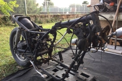 31697350_10214314623792202_8608074858821058560_n